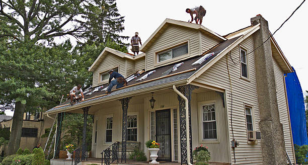 Roof Gutter Cleaning in Elk Grove, CA